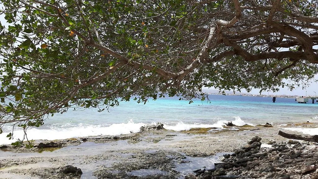 Appartement Bonaire Kralendijk
